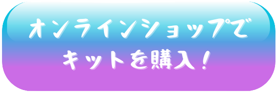 オンラインショップでキットを購入.png