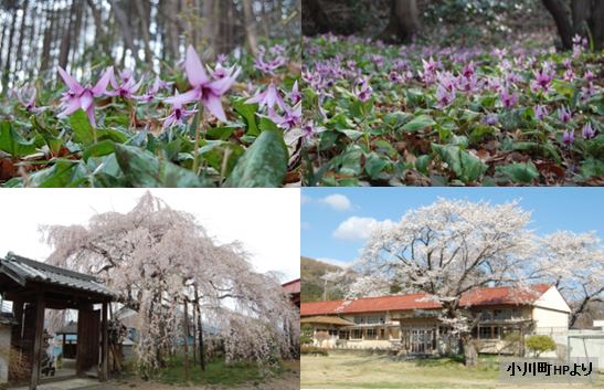 小川町観光画像