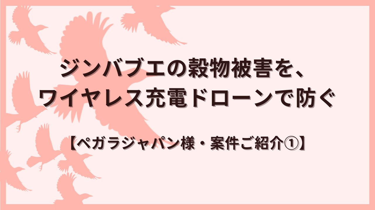 最新情報